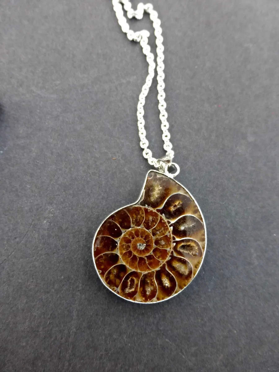 Ammonite shell stone silver frame pendant with silver chain necklace.