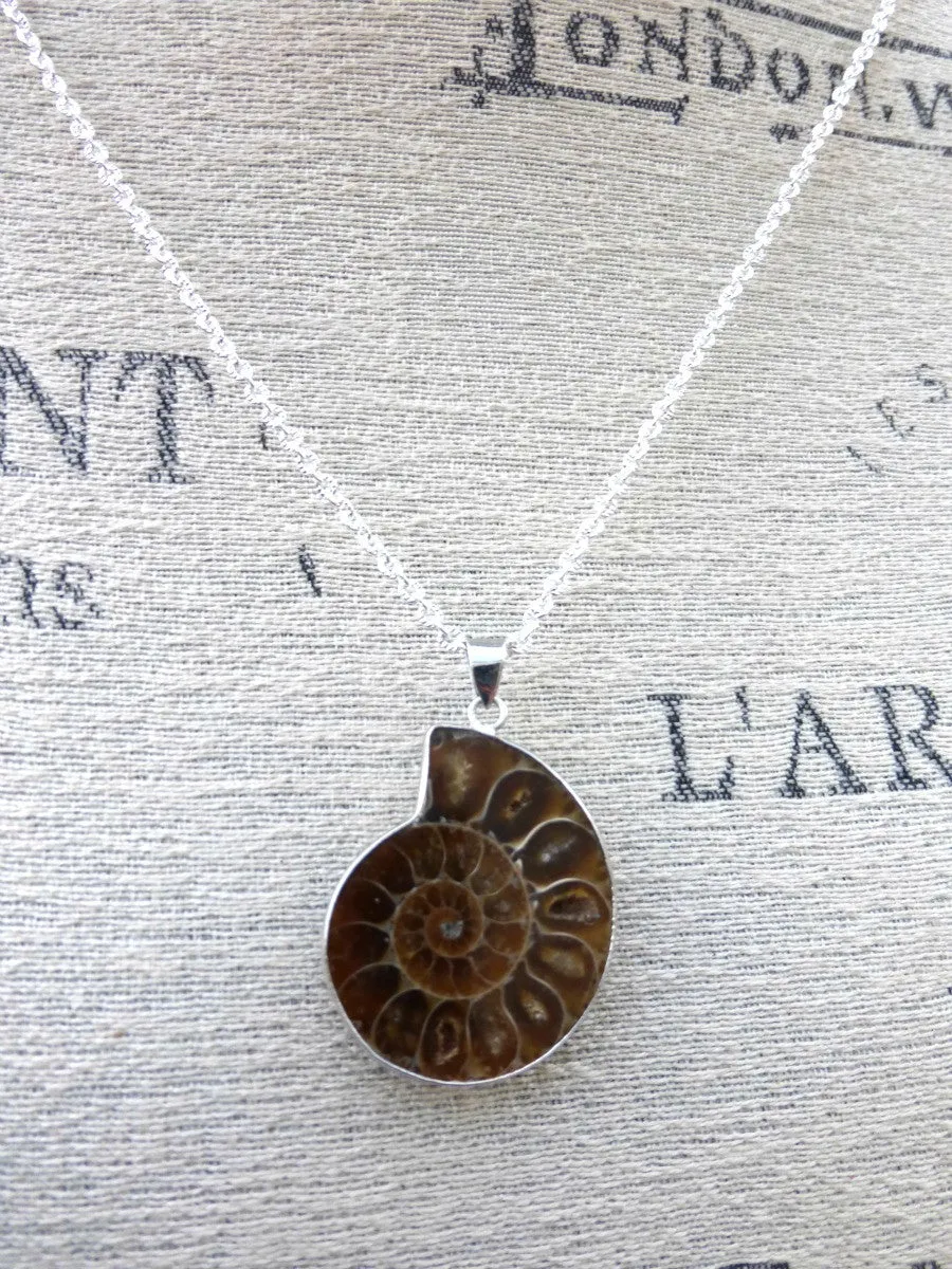 Ammonite shell stone silver frame pendant with silver chain necklace.