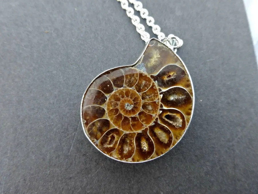 Ammonite shell stone silver frame pendant with silver chain necklace.