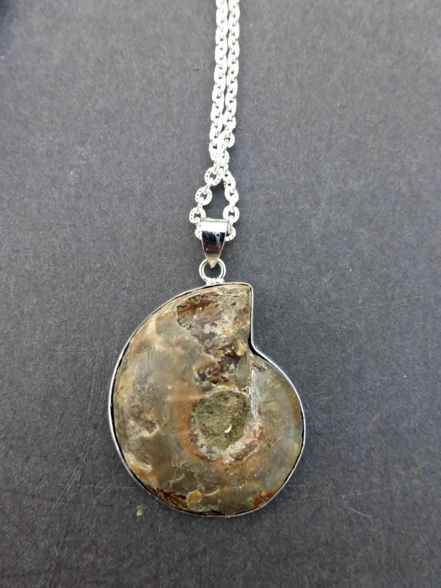 Ammonite shell stone silver frame pendant with silver chain necklace.