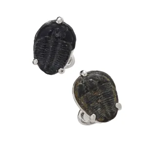 Delta Trilobite Fossil Sterling Silver Cufflinks