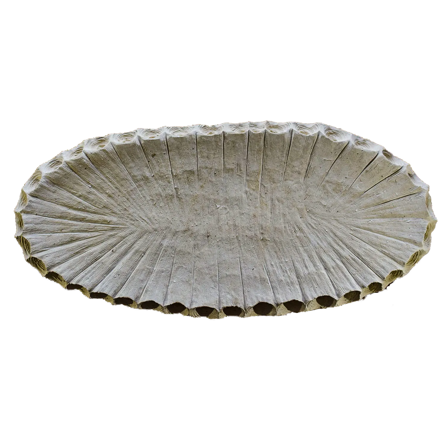 FOSSIL BOWL