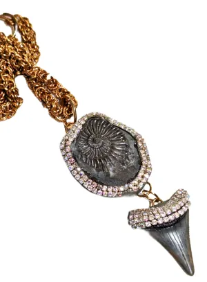 Grey Real Megalodon Shark Tooth  Ammonite Fossil Pendant Unisex Beach Wedding Ocean Dentist Statement Sugar Gay Isber