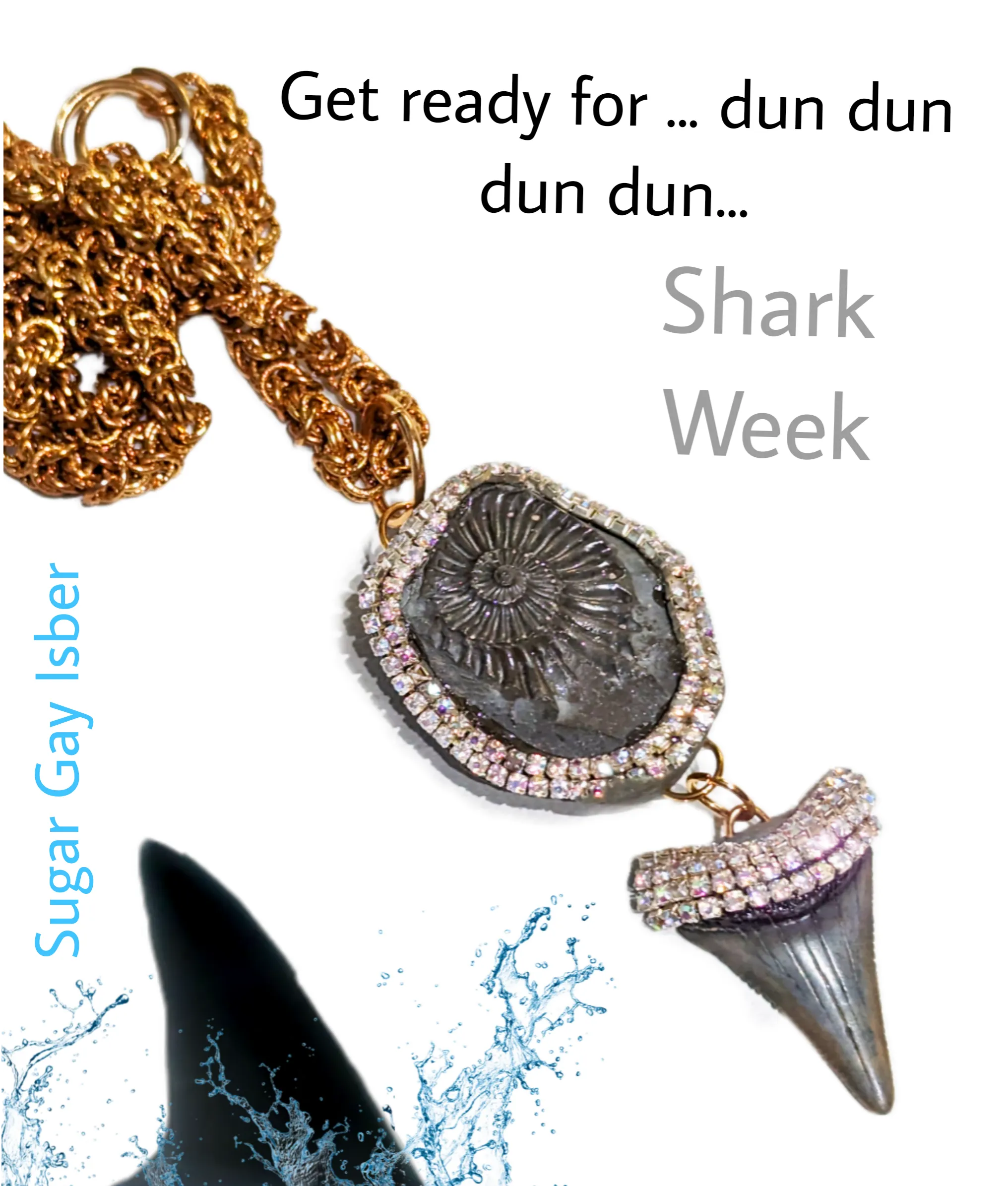 Grey Real Megalodon Shark Tooth  Ammonite Fossil Pendant Unisex Beach Wedding Ocean Dentist Statement Sugar Gay Isber