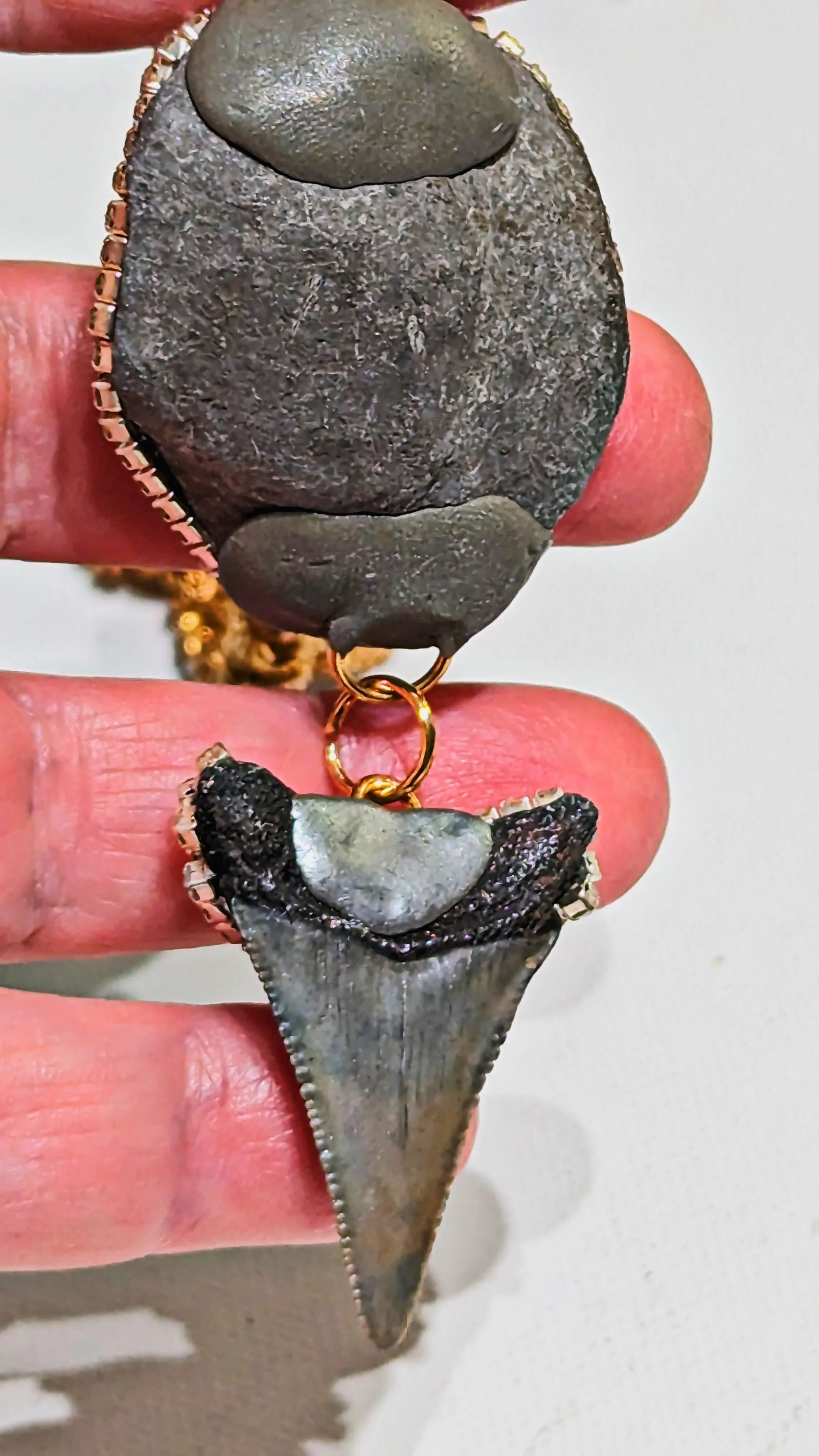 Grey Real Megalodon Shark Tooth  Ammonite Fossil Pendant Unisex Beach Wedding Ocean Dentist Statement Sugar Gay Isber