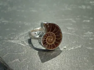 Size 7 Fossil Ammonite, Sterling Silver Ring