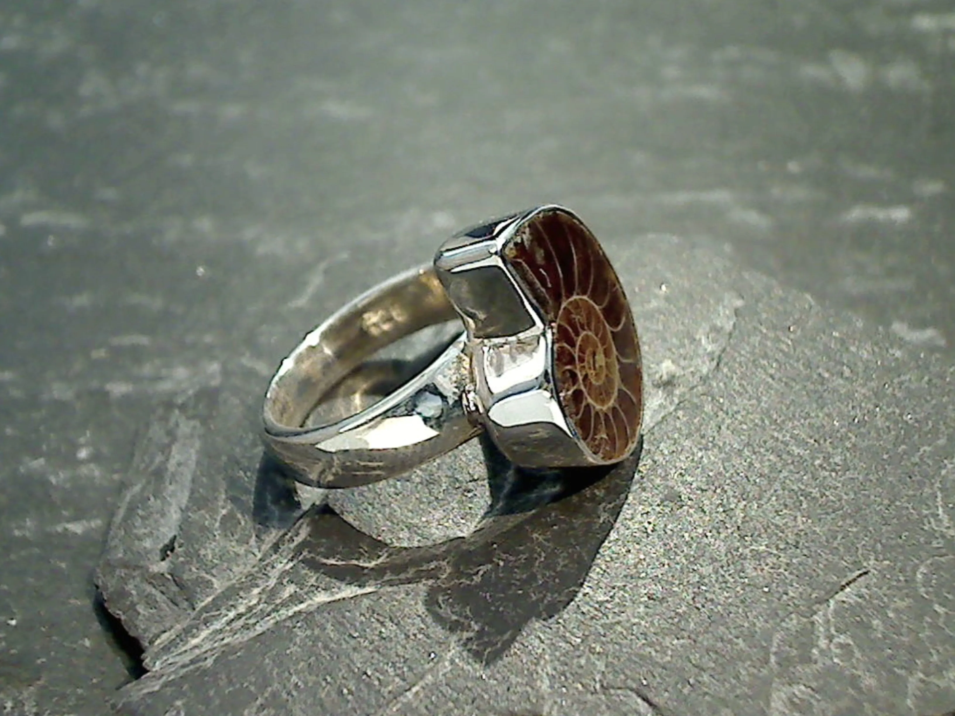 Size 7 Fossil Ammonite, Sterling Silver Ring