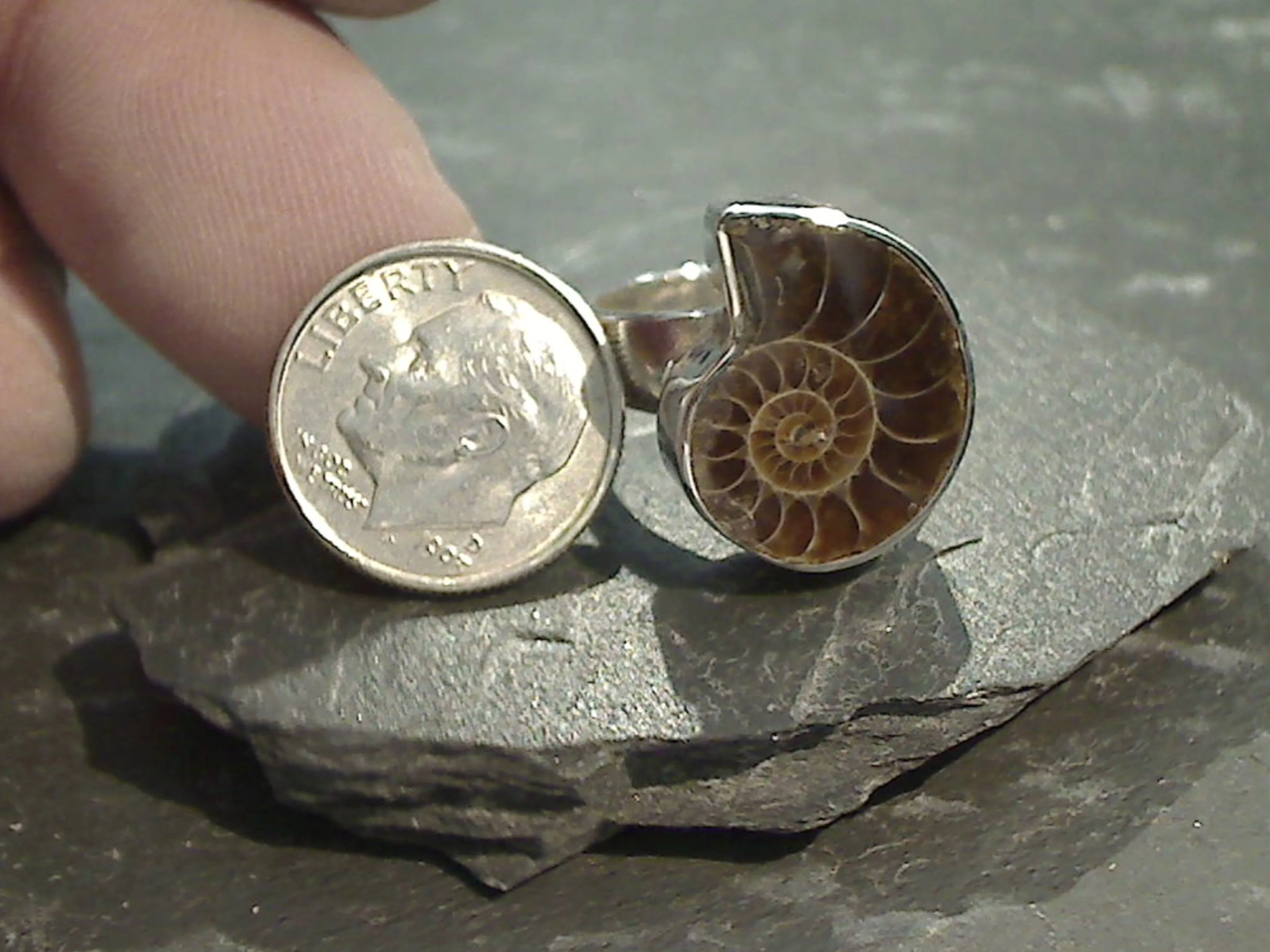 Size 7 Fossil Ammonite, Sterling Silver Ring