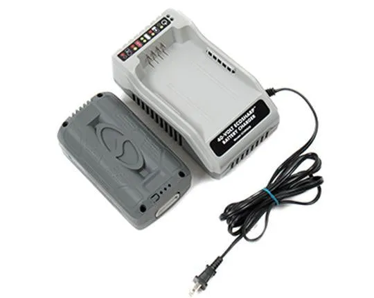 Snow Joe   Sun Joe iCHRG40 EcoSharp® Lithium-Ion Battery Charger | 40 Volt