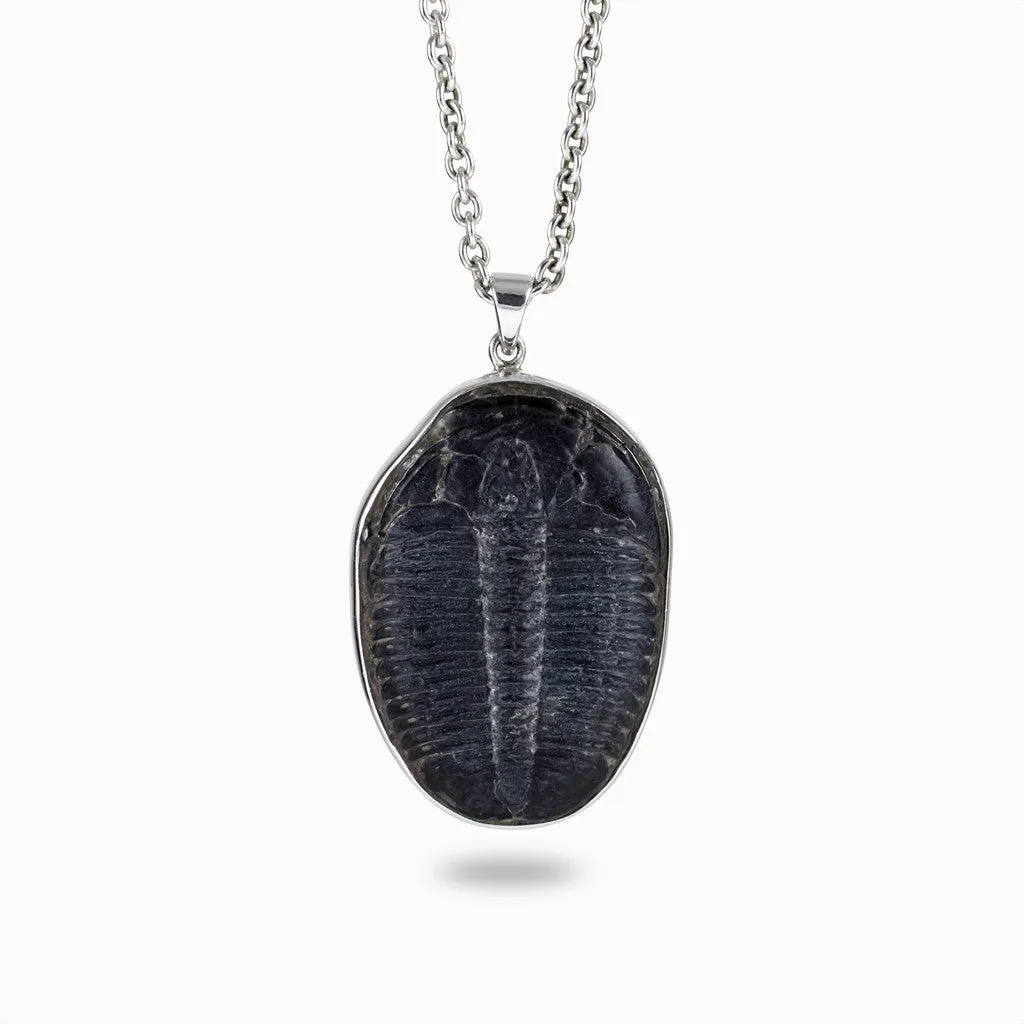 Trilobite Fossil Necklace