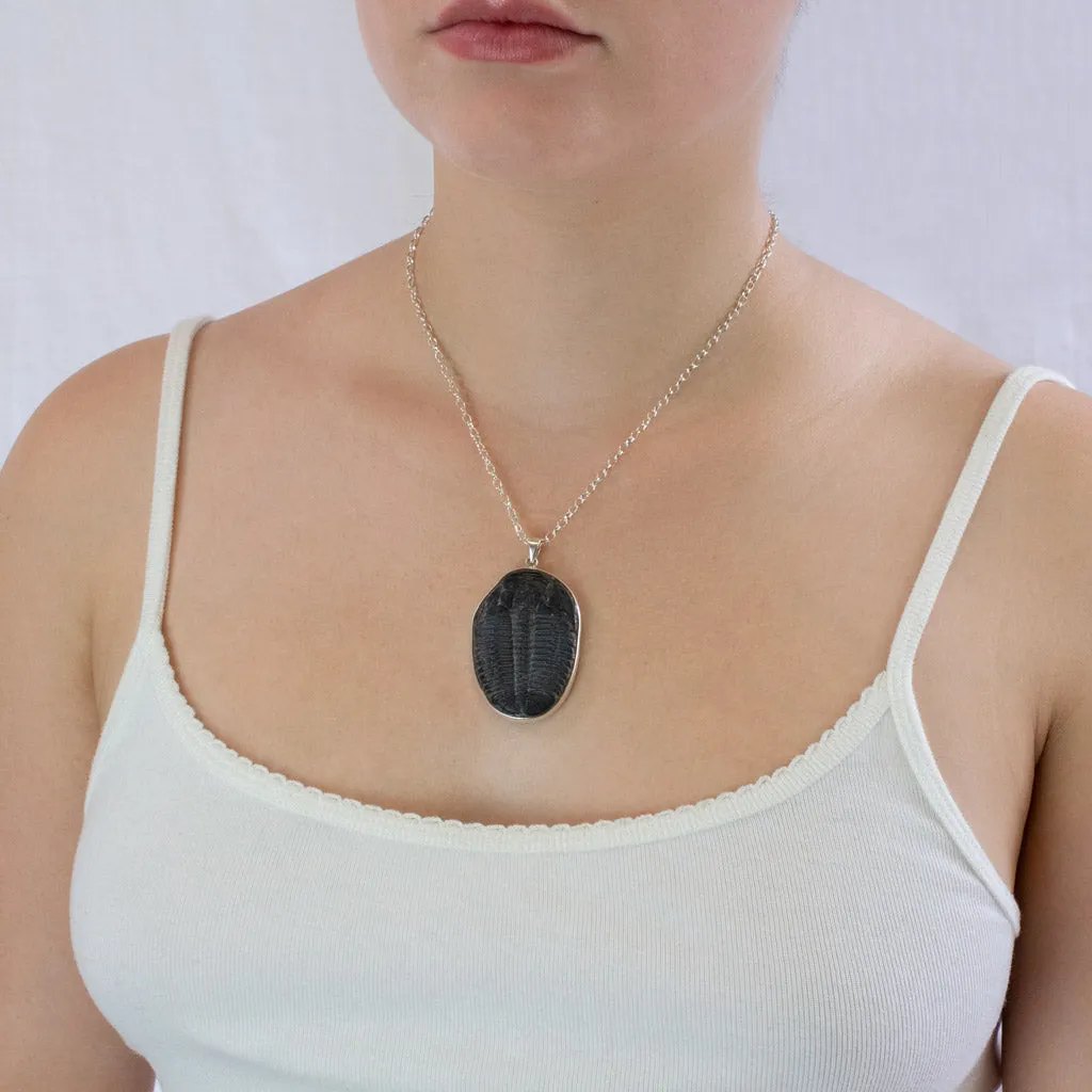 Trilobite Fossil Necklace